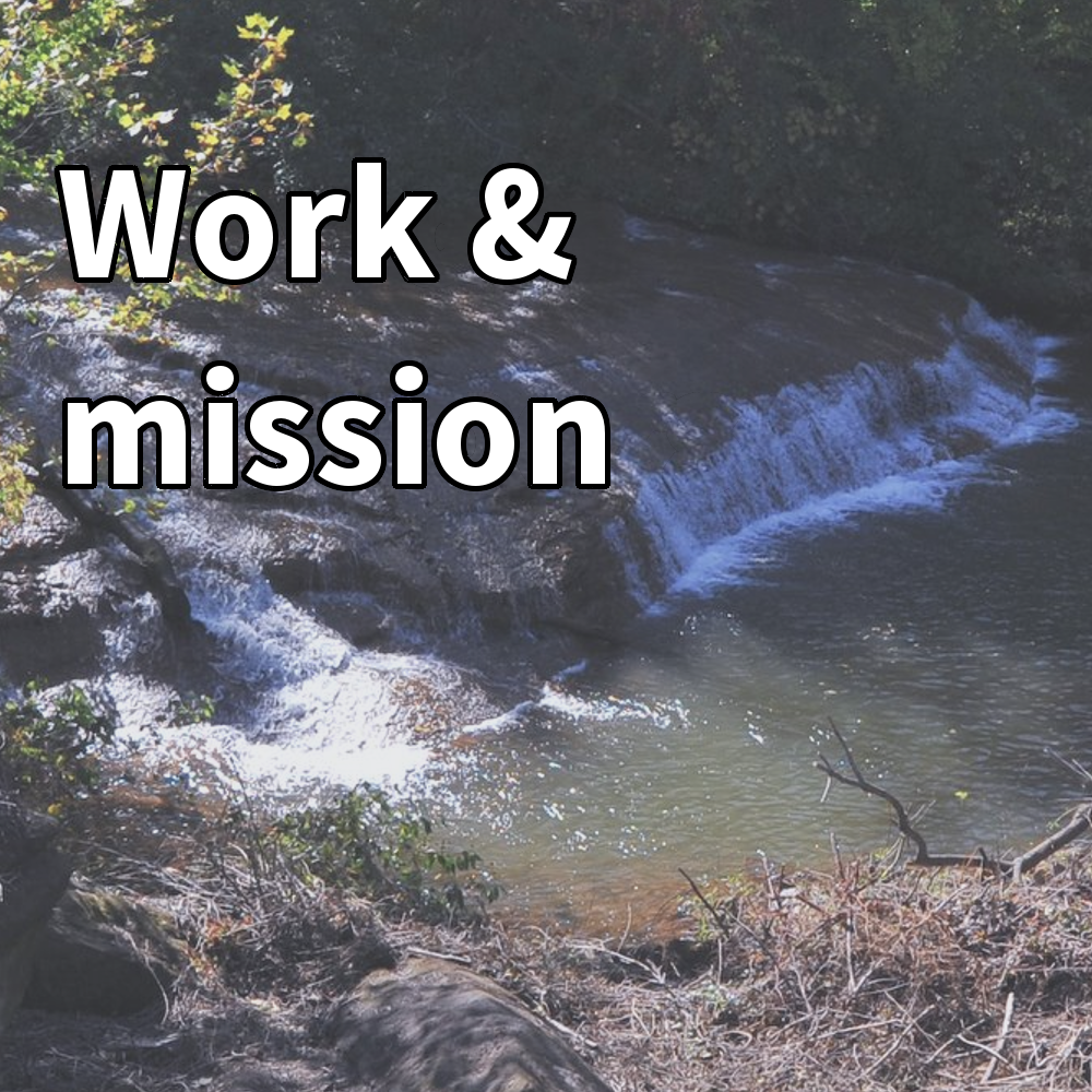 Work & mission